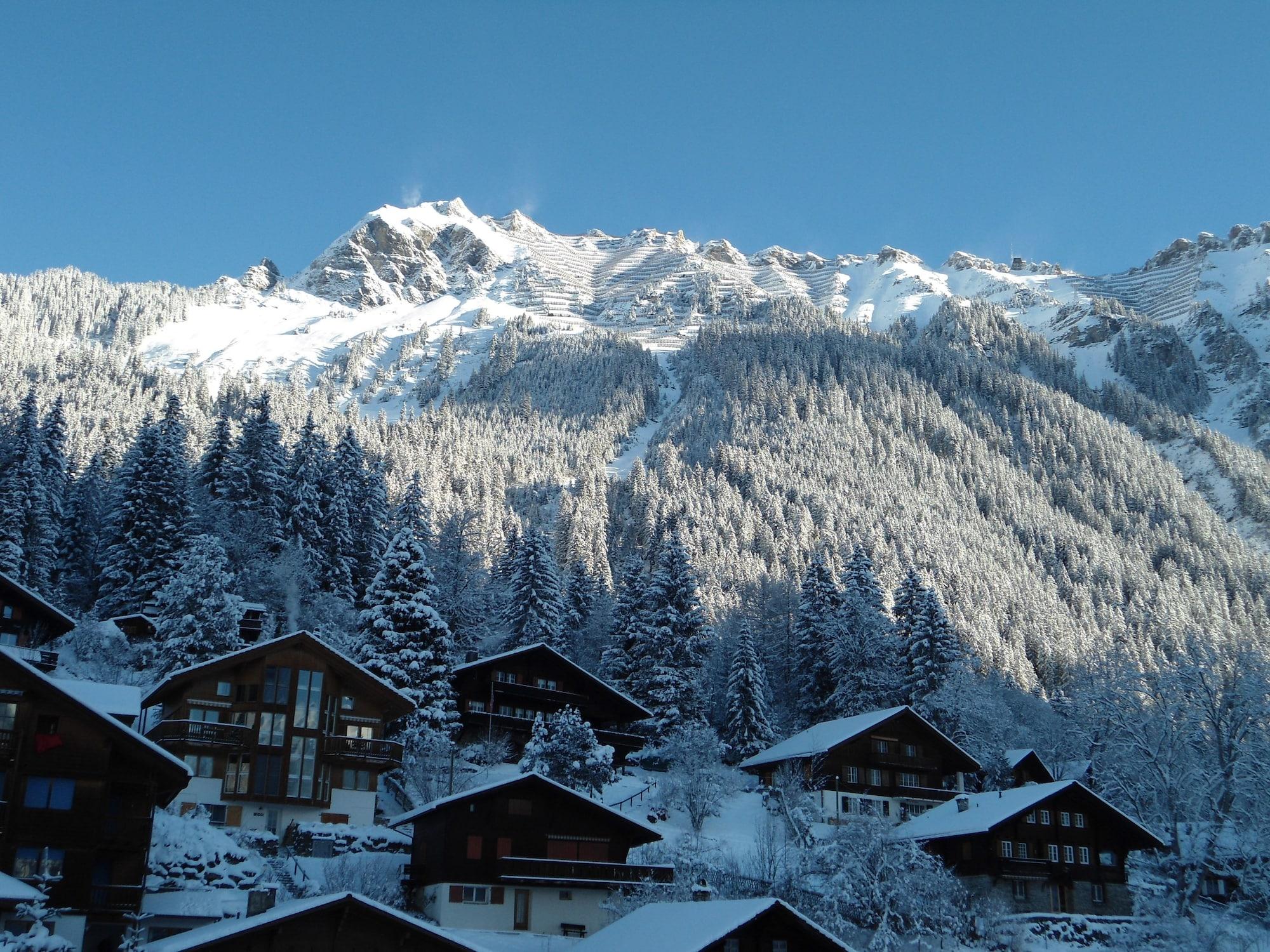 Grand Hotel Belvedere, A Beaumier Hotel Wengen Exterior photo